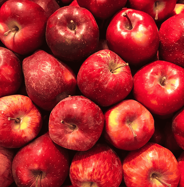 apple-4