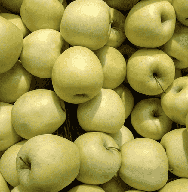 apple-5