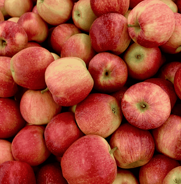 apple-6