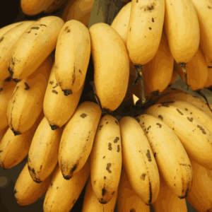 sofraj-banana-2