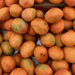 mango-2
