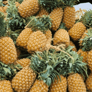 pineapple-3