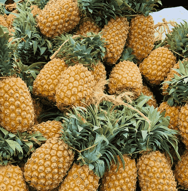 pineapple-3
