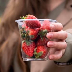 sofraj-strawberry1