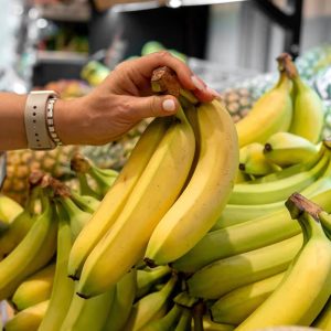 sofraj-banana1