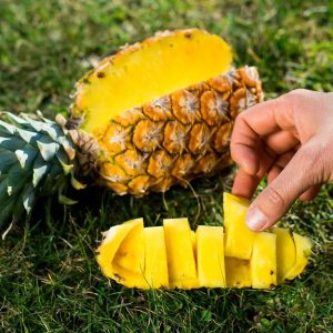 sofraj-pineapple1