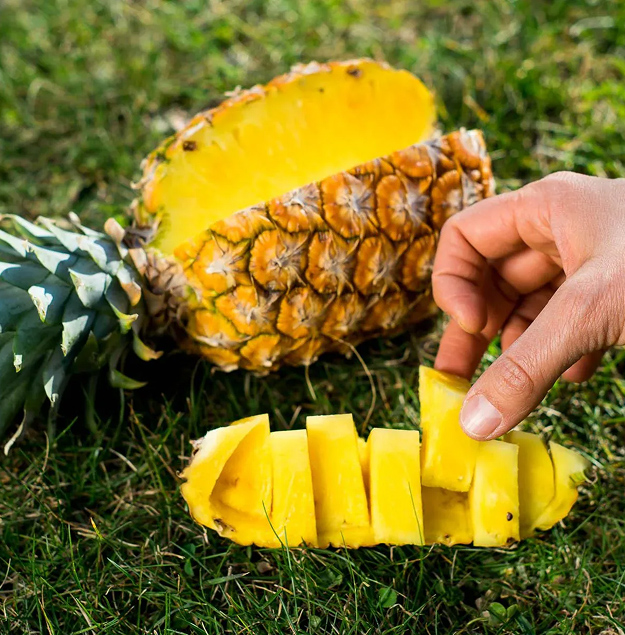 sofraj-pineapple1